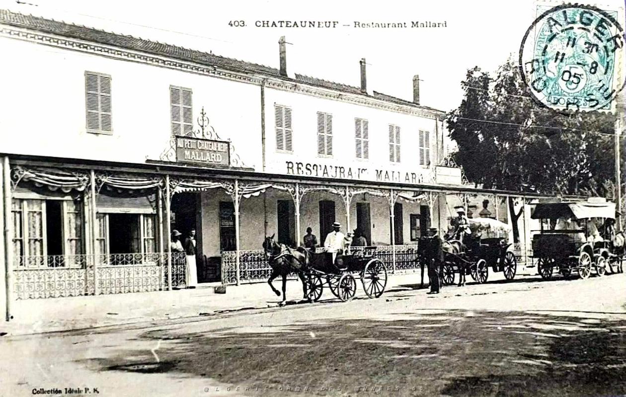 790- Chateauneuf - Restaurant Mallard.jpg